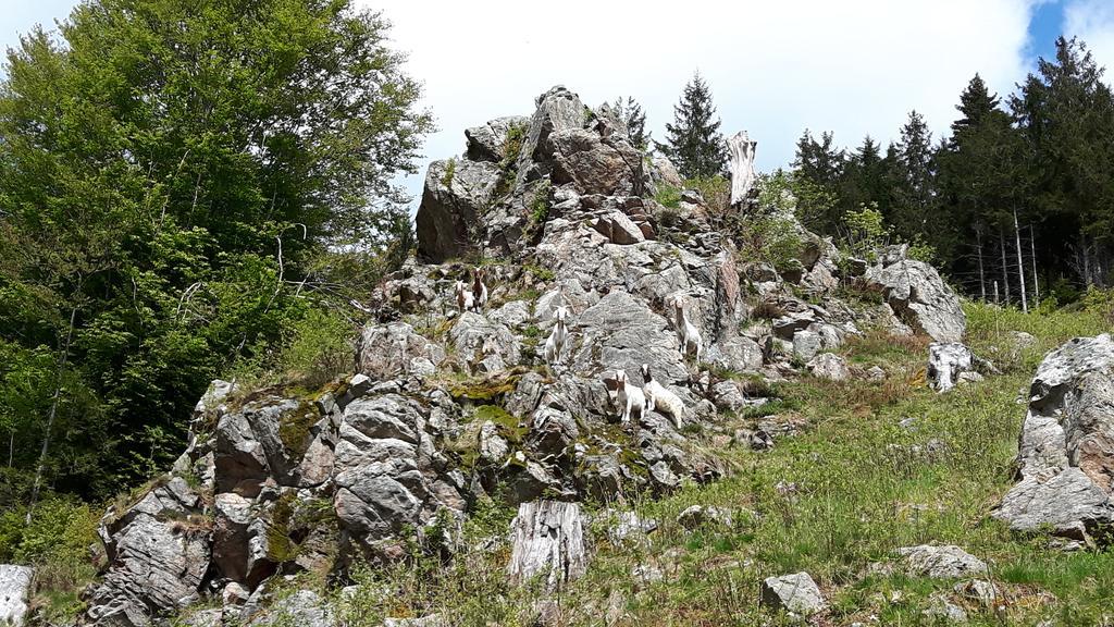 Apartament Haus Grabenbuehl Wieden Zewnętrze zdjęcie