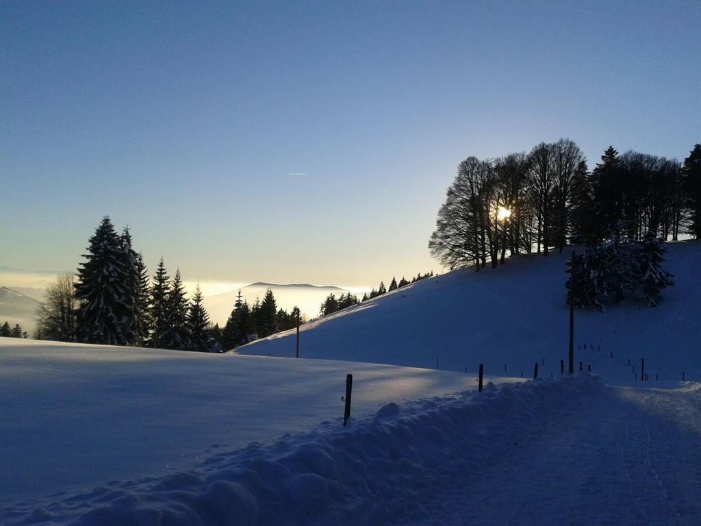 Apartament Haus Grabenbuehl Wieden Zewnętrze zdjęcie